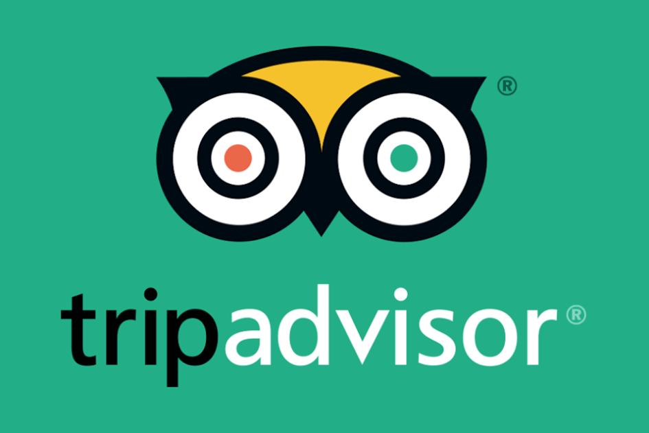 Poster Trip Advisor Green Owl