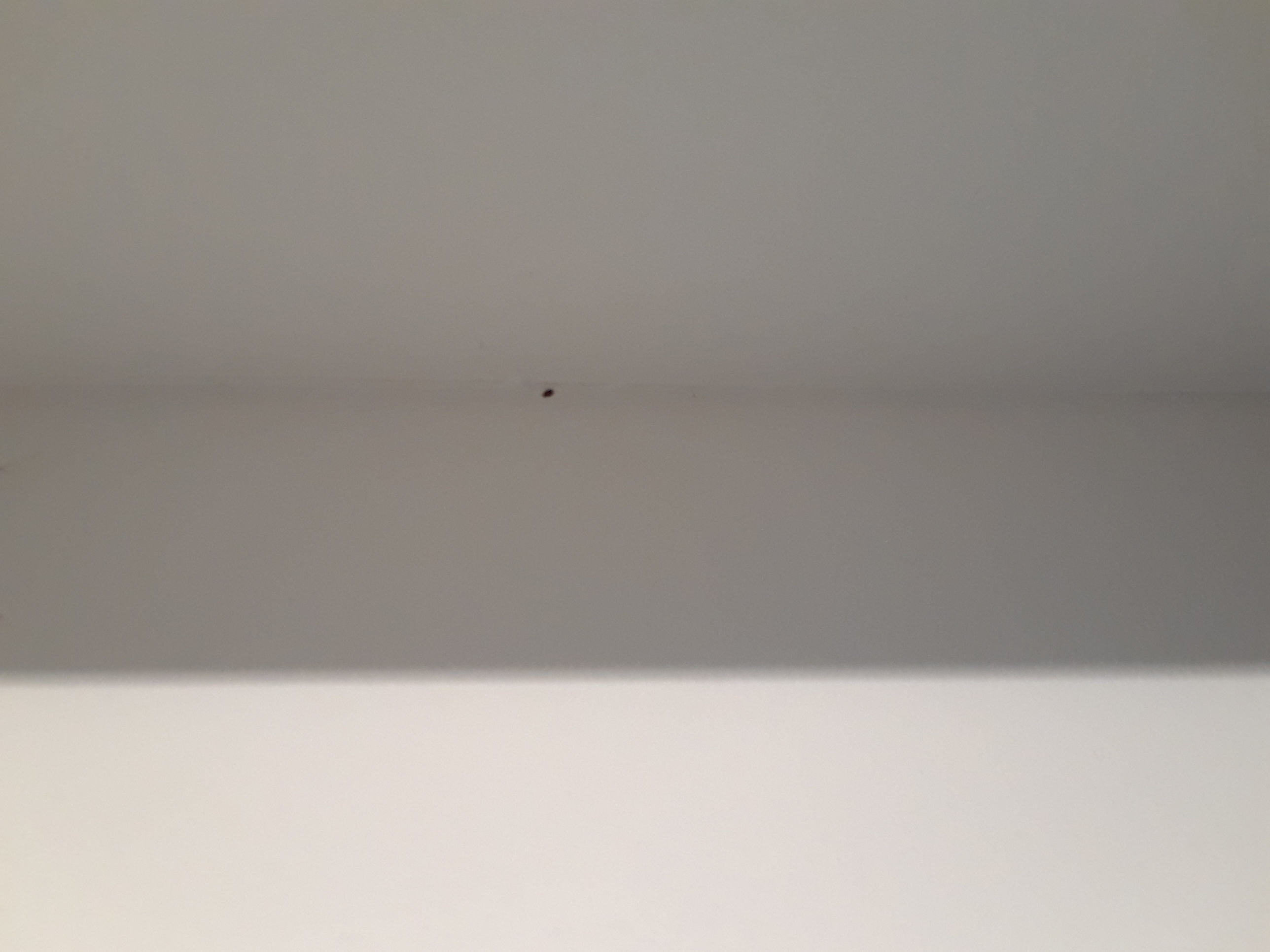 Killing Bed Bugs On Ceiling Shelly Lighting