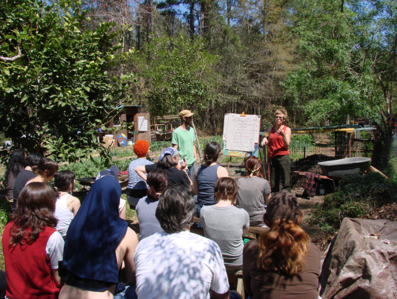 outdoor workshop at hostel in the forest georgia