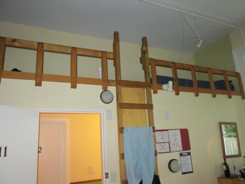 paradiso loft dorm beds creative space tall ceilings ladder