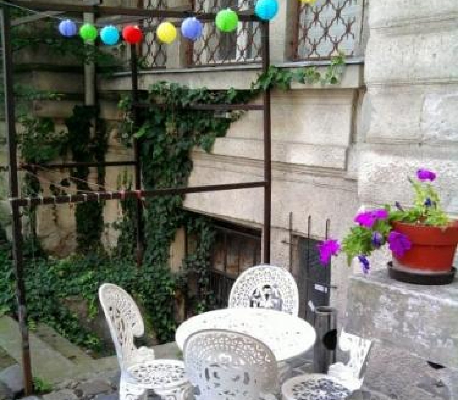 hellomitti's picture