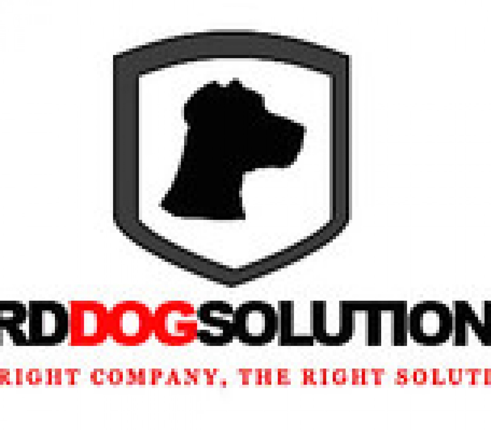 Birddog Solutions's picture