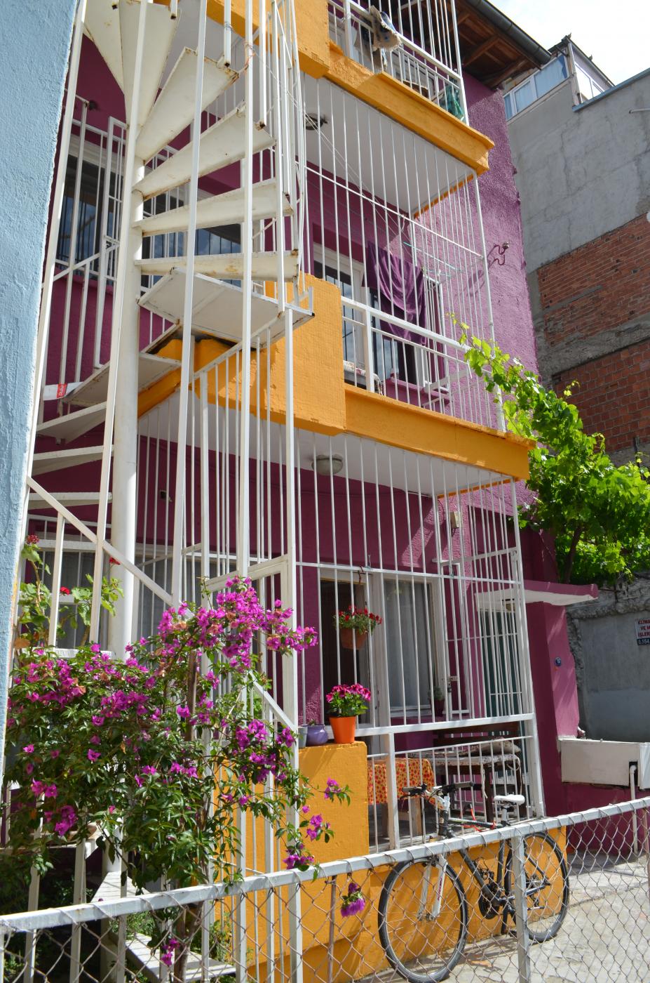 shantihome hostel's picture