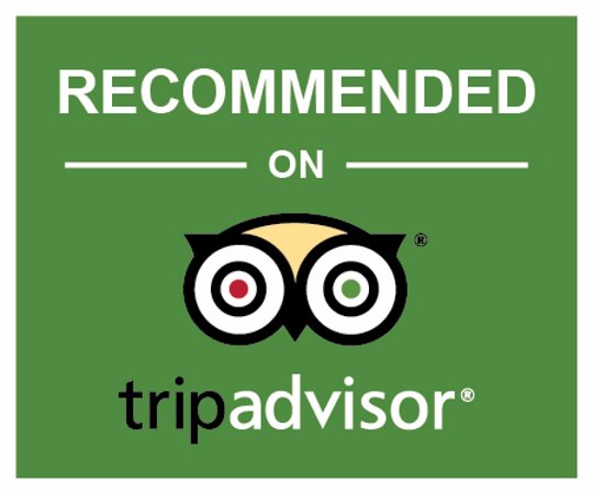 TripAdvisor Logo