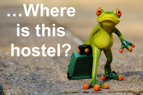 Sometimes finding hostels is hard, especially off the beaten path! Funny frog with a suitcase looking lost