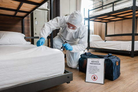 Preventing bed bugs in hostels