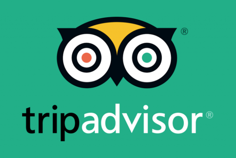 TripAdvisor Poster Trip Advisor Green Owl