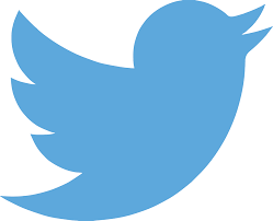blue twitter bird blue-twitter-bird
