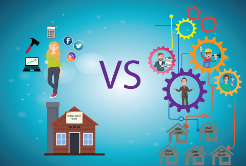 Explore the way chain hostels can benefit the industry Infographic of chain hostels and independent hostels
