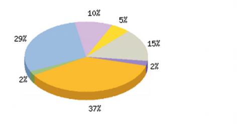 Pie Graph from New Hostels Survey Pie Graph from New Hostels Survey