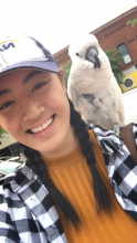 jackiekuo's picture
