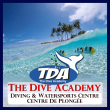 The Dive Academy Las Terrenas's picture